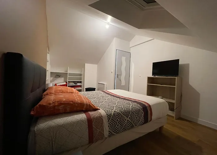 De 2 - Ancenis A11 - Logis Du Chateau Rouge * Mésanger